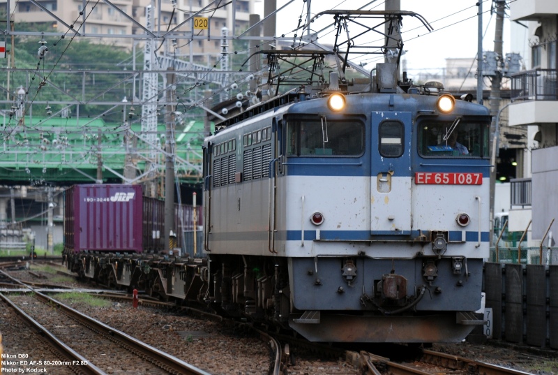 EF65-1087牽引貨列@西日暮里附近_1(2)_20090909.jpg EF65-1087牽引貨列@西日暮里附近_1(2)_20090909.jpg