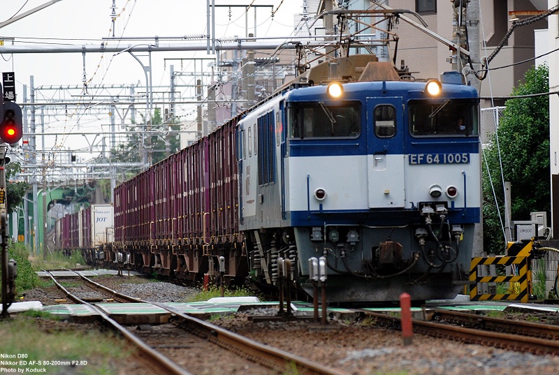 EF64-1005牽引貨列@西日暮里附近_1(2)_20090909.jpg EF64-1005牽引貨列@西日暮里附近_1(2)_20090909.jpg