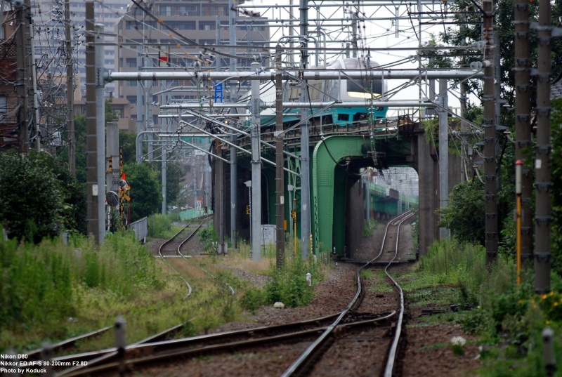 西日暮里附近踏切_7(2)_20090909.jpg 西日暮里附近踏切_7(2)_20090909.jpg