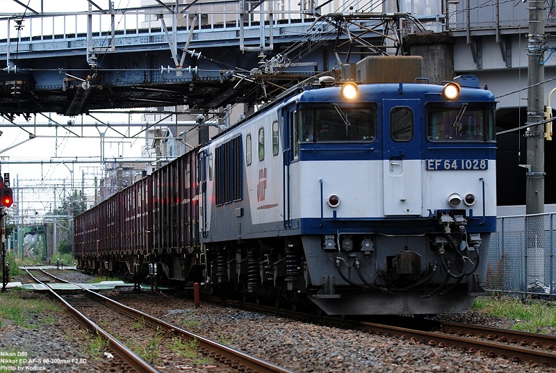 EF64-1028牽引貨列@西日暮里附近_1(2)_20090909.jpg EF64-1028牽引貨列@西日暮里附近_1(2)_20090909.jpg