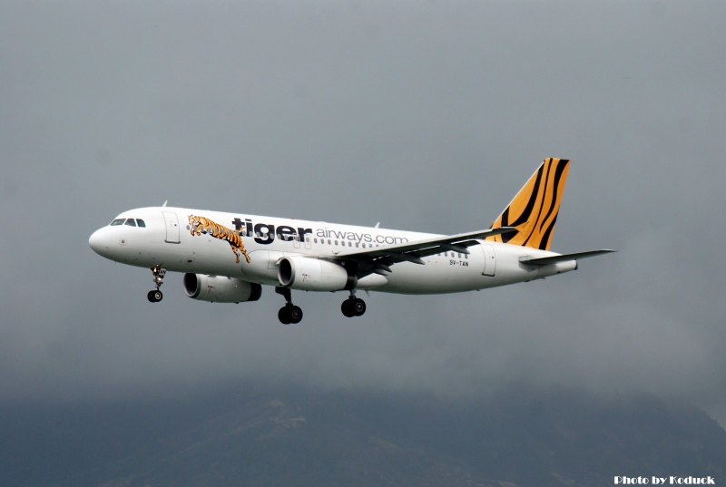 Tiger Airways Airbus A320-232(9V-TAN)@VVVH_1(2)_20100625.jpg Tiger Airways Airbus A320-232(9V-TAN)@VVVH_1(2)_20100625.jpg