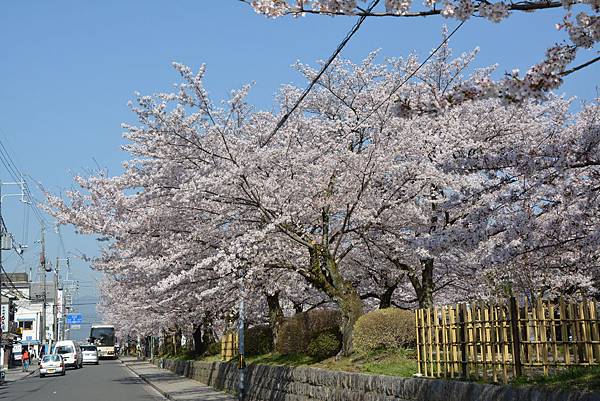 DSC_0315 DSC_0315