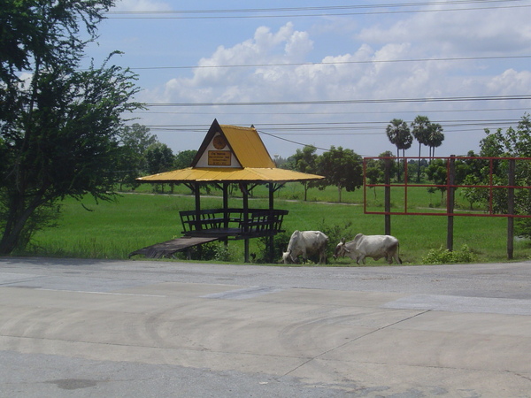 20070905LPhimai (59).JPG