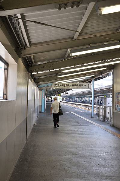 0 (50).JPG 0 (50).JPG