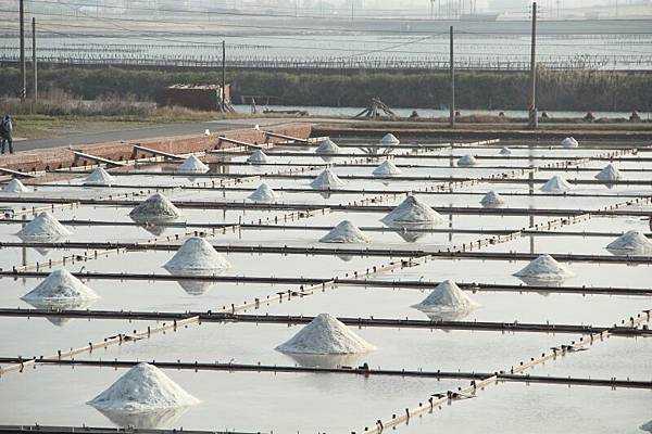 IMG_9712.JPG IMG_9712.JPG