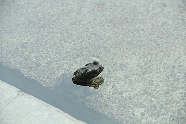 IMG_9896.JPG IMG_9896.JPG