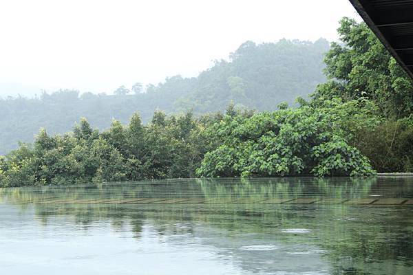 IMG_9979.JPG IMG_9979.JPG