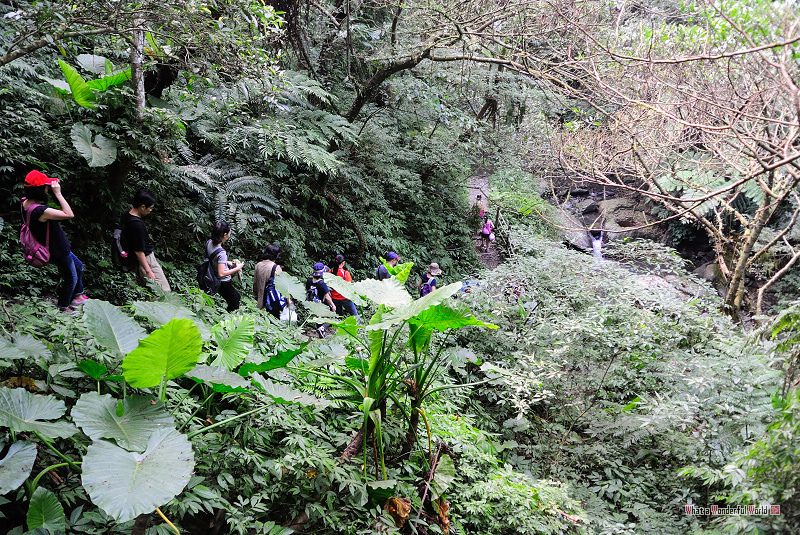 20130629-153701.jpg 20130629-153701.jpg