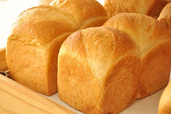 CSC_2054.JPG CSC_2054.JPG