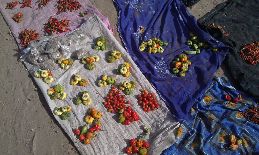 IMAG0039.jpg IMAG0039.jpg