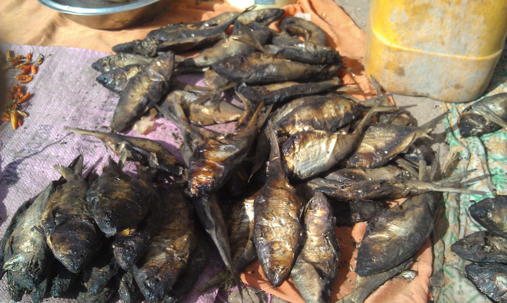 IMAG0041.jpg IMAG0041.jpg