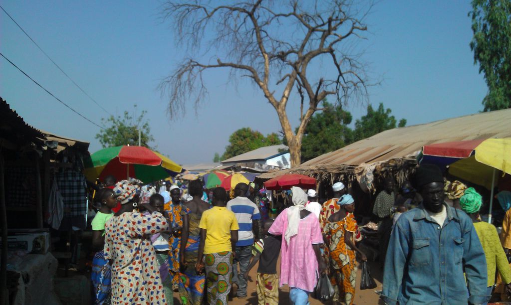 IMAG0050.jpg IMAG0050.jpg