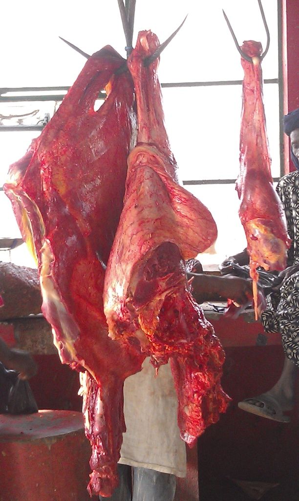 IMAG0148.jpg IMAG0148.jpg