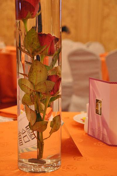 CSC_4077.JPG CSC_4077.JPG