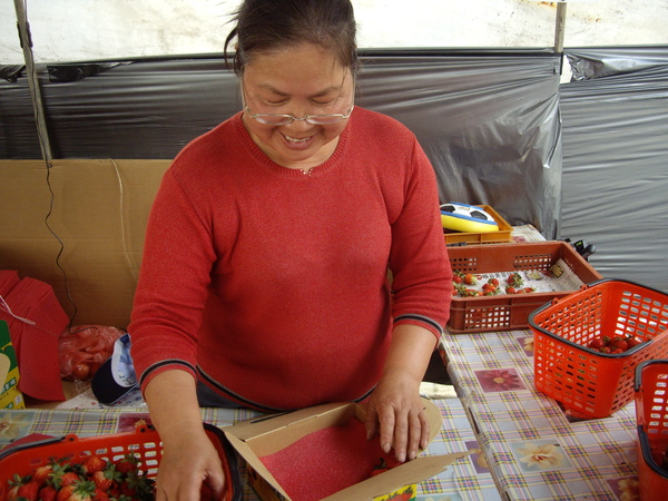 IMGP1430.JPG IMGP1430.JPG