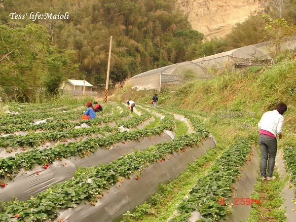 DSC01326.JPG DSC01326.JPG