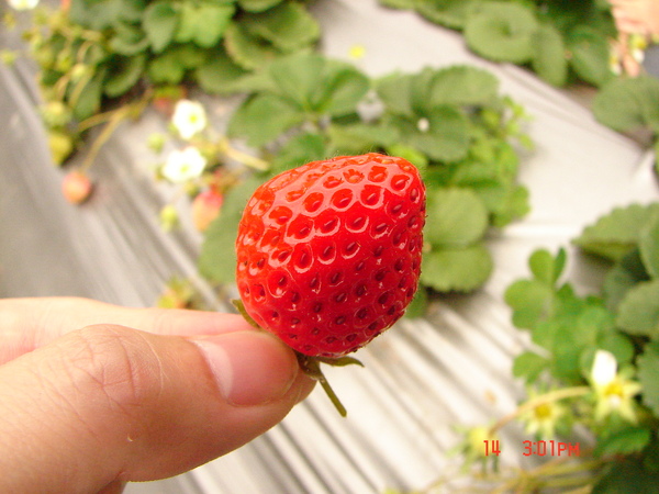 DSC01328.JPG DSC01328.JPG