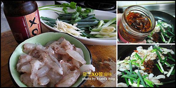 cats-9.jpg cats-9.jpg