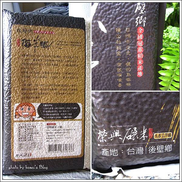 cats-1.jpg cats-1.jpg