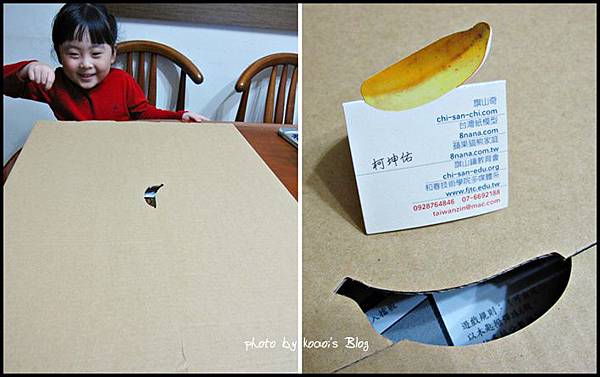 cats-1.jpg cats-1.jpg