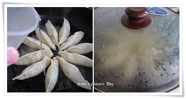 cats-1.jpg cats-1.jpg