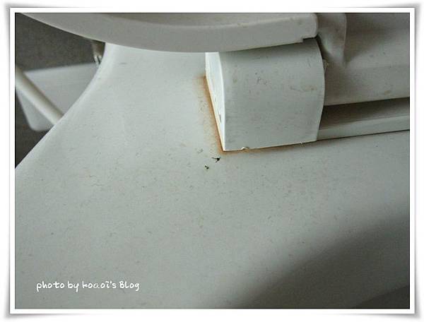 魔術靈雙重淨力 魔術靈雙重淨力