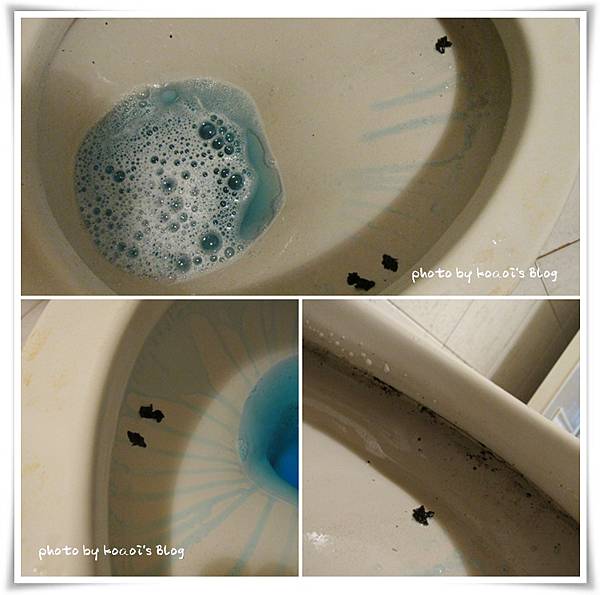 魔術靈雙重淨力 魔術靈雙重淨力