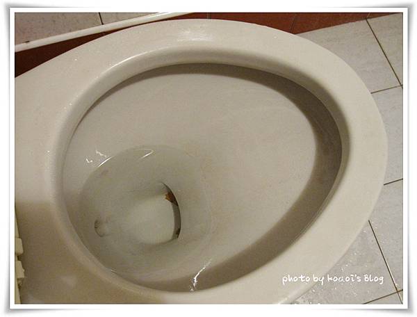 魔術靈雙重淨力 魔術靈雙重淨力