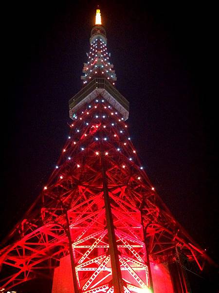 2014-11-29 204131.jpg