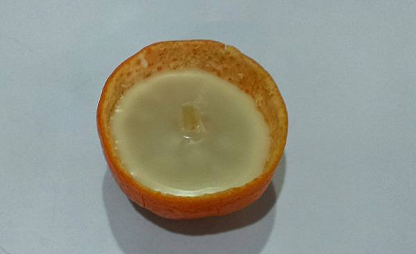 IMAG7427_1 IMAG7427_1