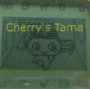 19-Mametchi-CloseUp1.JPG