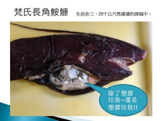 太平洋 塑膠濃湯