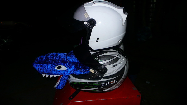 P1090729.JPG P1090729.JPG