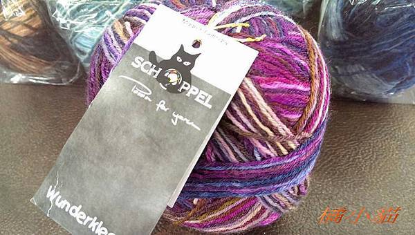 黑貓絢彩段染 (7).jpg