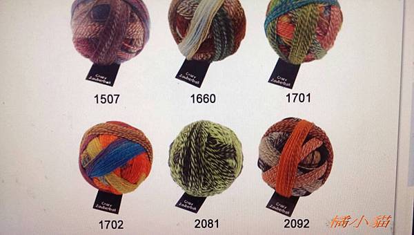 黑貓俏麗 (1).jpg