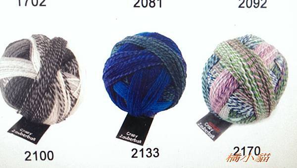 黑貓俏麗 (2).jpg