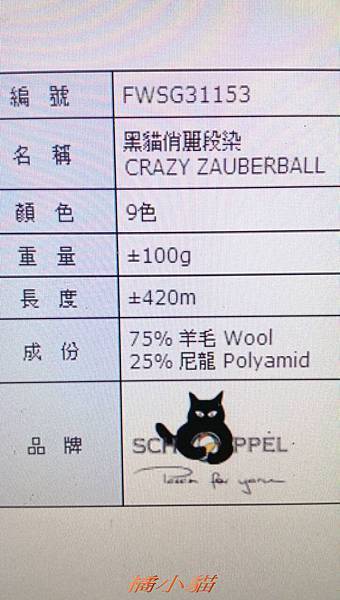 黑貓俏麗 (3).jpg