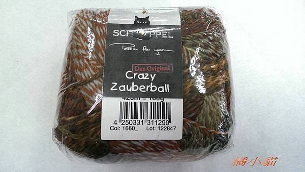 黑貓俏麗 (4).jpg