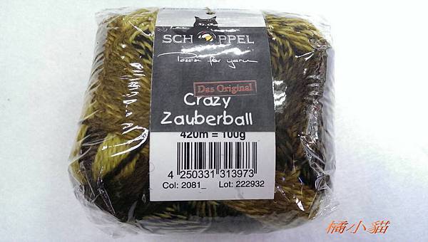 黑貓俏麗 (5).jpg