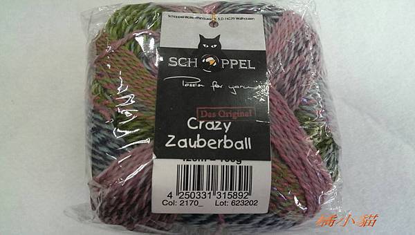 黑貓俏麗 (6).jpg