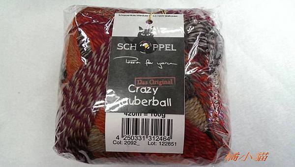 黑貓俏麗 (8).jpg