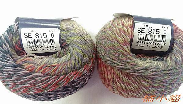 日本DIA毛線SE系列 (10).jpg