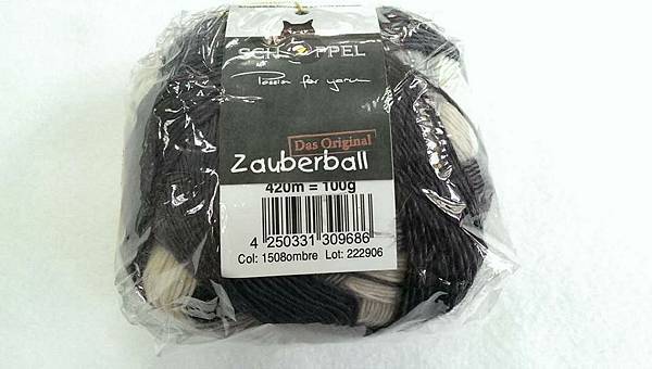 黑貓純毛 (2).jpg