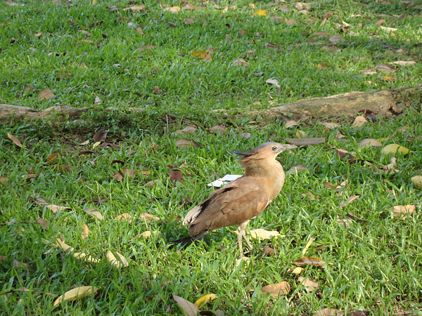DSC01184.JPG