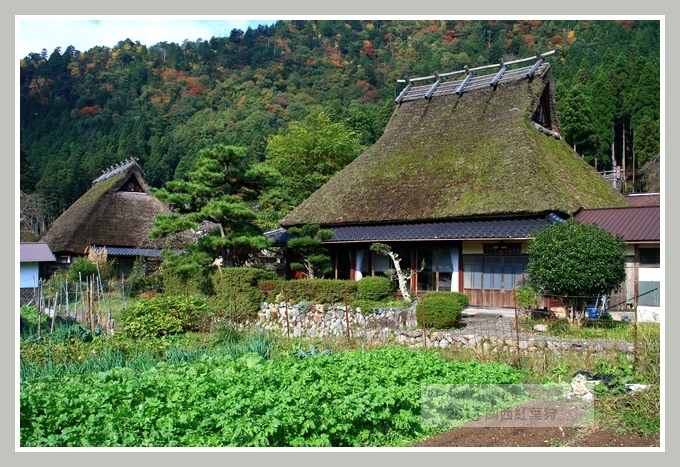 美山町  (38).JPG