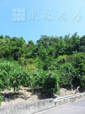 北屯區大坑濁水巷林地售5800萬 北屯區大坑濁水巷林地售5800萬