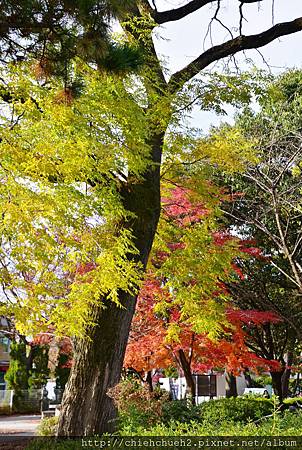 DSC_6453.JPG DSC_6453.JPG