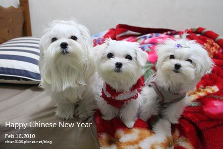 過新年_55.jpg 過新年_55.jpg