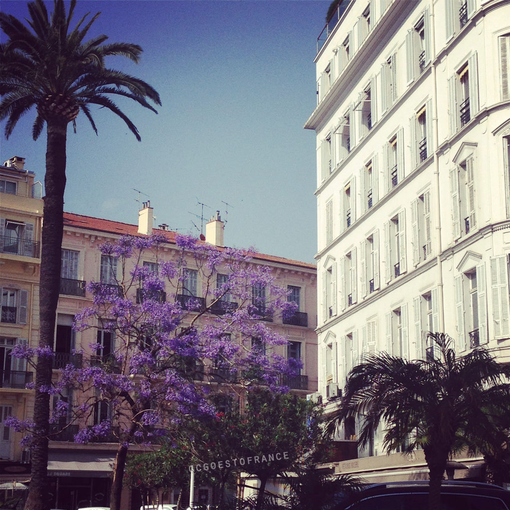 cannes cannes