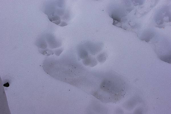 DSC04973.jpg DSC04973.jpg